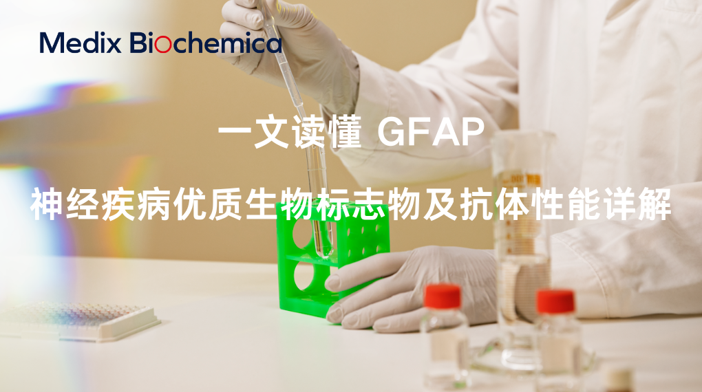 AMP 2022
